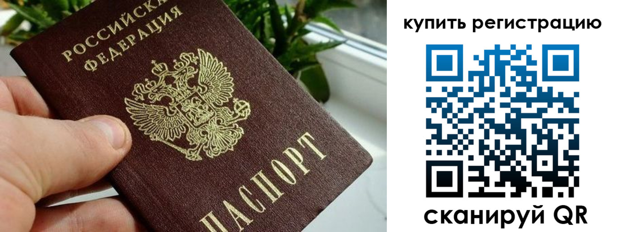 прописка гарантия в Цимлянске